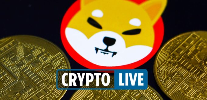 cryptocurrency-price-today-live-–-shiba-inu-coin-&-bitcoin-up,-banking-firm-creates-nft,-&-best-crypto-w…-–-the-sun