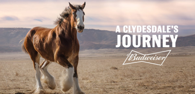 budweiser’s-clydesdale-super-bowl-ad-takes-on-heavy-emotional-lift:-‘only-budweiser-can-tell-it-this-way’-–-usa-today
