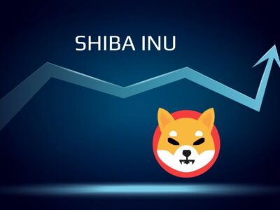shiba-inu-price-prediction:-how-high-can-shib-price-reach-by-2030?-–-cryptoticker.io-–-bitcoin-price,-ethereum-price-&-crypto-news