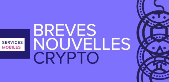vulnerable-cryptocurrencies,-crypto-fees-are-high,-digital-prototype-of-the-euro-–-us-sports-–-us-sports-–
