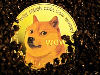 5-things-you-might-not-know-about-kabosu,-the-good-boy-that-inspired-dogecoin-and-shiba-inu-–-dogecoin-(-–-benzinga
