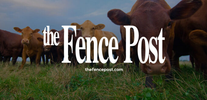 the-digital-saga-continues-|-thefencepost.com-–-the-fence-post