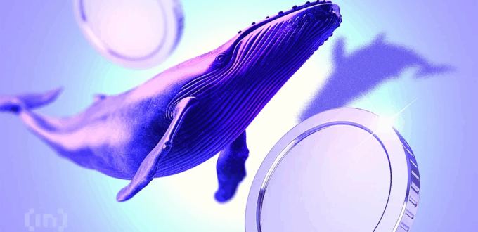 what-are-the-crypto-whales-buying,-selling,-and-holding?
